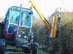 Tree Surgery - Aspen Arboricultural Ltd