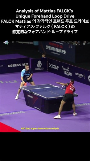 Analysis of Mattias FALCK’s Unique Forehand Loop Drive マティアス・ファルク（FALCK）の感覚的なフォアハンド・ループドライブ
