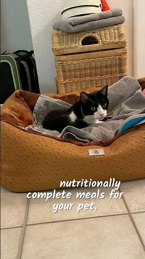 The Original Crockpet Diet by Dr. Ruth Roberts