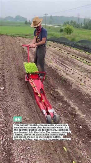 Manual Vegetable Transplanter Plants Fast | #Farming #MarketGarden #AgTools