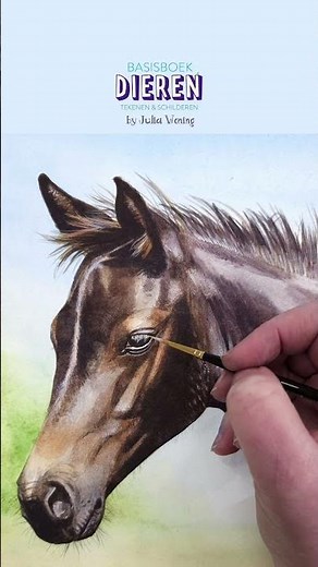 NIEUW Basisboek Dieren tekenen en schilderen