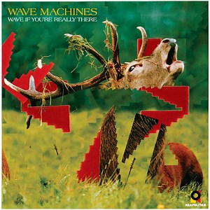 Wave Machines Concert & Tour History  | Concert Archives