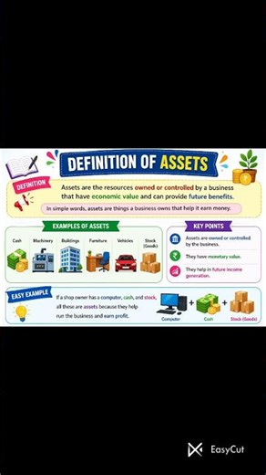Definition of assets and types of assets .