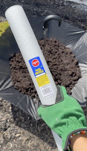 489K views · 4.6K reactions | this looks so spooky! (Halloween DIY) learn how to use an umbrella, and a pool noodle to create a fun witchy gardening display #fall #halloween #gardening | Brooklyn B | Facebook