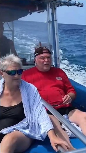 Kona Snorkeling Tour | Kona Snorkel Trips