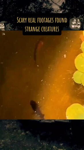 15K views · 146 reactions | Follow us Disturbing reels into the...