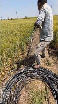 Sach Ya Gang? Gaon Mein Wire Chori Ka Bada Khulasa #shorts #chor