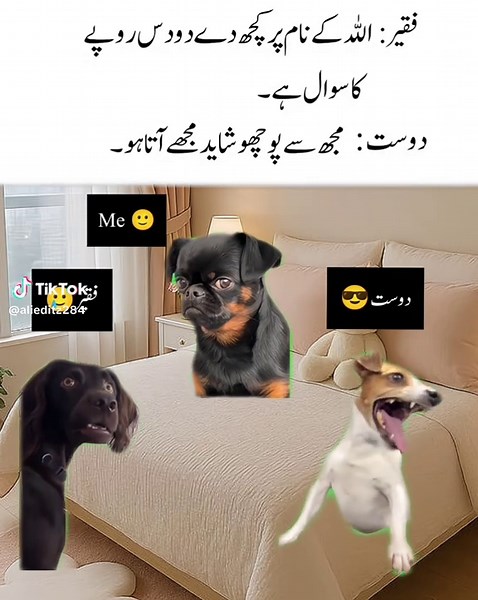 Humorous Memes Featuring Rami Dost