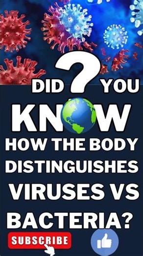 How the Body Distinguishes Viruses vs Bacteria Immune System Explained viruses immunesystem 4