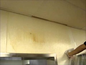 FRP / Blister Board Wall cleaning by Ceiling Pro International