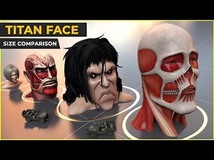 Attack on Titans Face Size Comparison | Titans Face size 3D