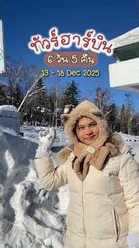 ฮาร์บินฟินๆกับทัวร์ในงบ 25k⛄️🇨🇳❄️ | spongekid