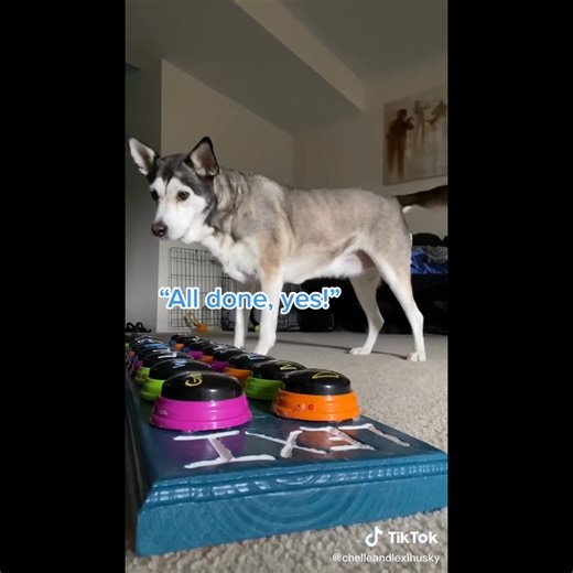 1.9K views · 12 reactions | PUP National Service Training Program - NSTP on Reels | Facebook