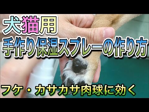 【皮膚のフケ・肉球のカサカサに】動物病院が手作りする犬猫保湿スプレーの作り方。