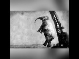 Freaky Unusual Deaths In History