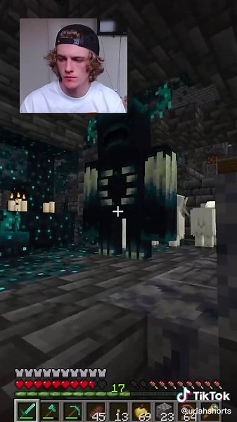 Unexpected Minecraft Techniques Revealed!