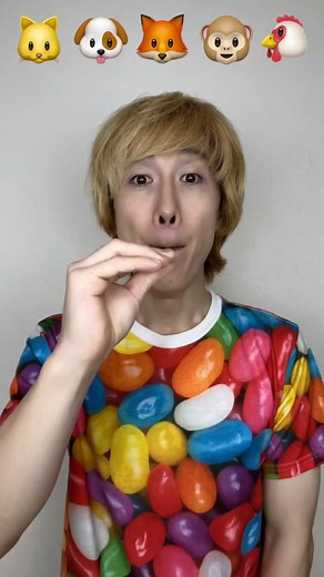 犬と猫の可愛いコメディ