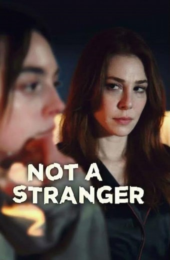 Not a Stranger Review