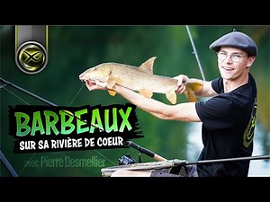 Barbeaux au feeder en rivière avec Pierre Desmellier - MATRIX FISHING TV FRANCE #pêche #matrix