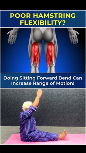 Tight Hamstrings? Try This Sitting Forward Bend Stretch! #YogaShorts