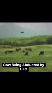 71K views · 2.3K reactions | #paranormal #UAP #aliens #UFO #extraterrestrial #AlienAbduction #fypageシ | Alien World | Facebook