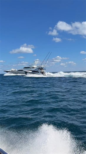 Made in 🇺🇸. Sportfish history runs deep here wrapped in red, white and blue. Add Viking, Spencer, Ricky, Bayliss, Merritt, Rybo, G&S……on and on and on. | Bad Company Fishing Adventures