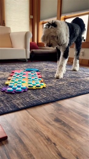 2.6M views · 60K reactions | It never ends 藍 just uploaded a 9-minute compilation of pretty much every time Bunny has pressed 'poop' on YT, definitely give it a watch if Bunny's potty mouth tickles your fancy! | Whataboutbunny | Facebook