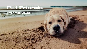 145 reactions · 7 comments | A short video to brighten up your weekend … ❤️ | Screen Gems | Facebook