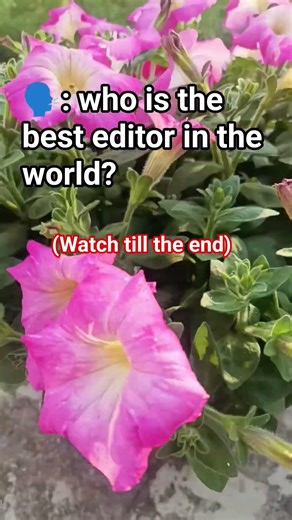 who is the best editor? #music #edit