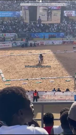 Lutte Sénégalaise : Suivez les Combats en Direct