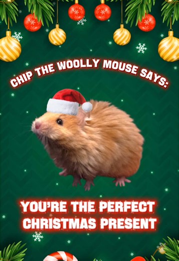 🎁 Share with someone that needs it