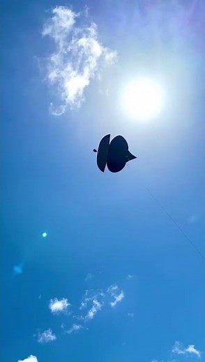 Cool Kite In The Air | Kite Flying | Patang Flight