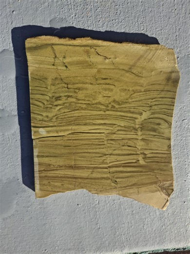 Old Stock - Gary Green Jasper Slab – Oregon-nevada Larsonite Lapidary Slab - Etsy