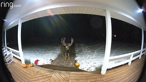 18K views · 95 reactions | A little girl sends a message to the North Pole & little boy spots Santa in the sky. | Ring | Facebook