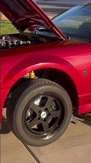 2004 mustang SVT cobra terminator