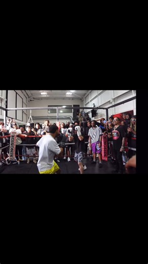 Turtle | YouTube: Certified_turtle #boxing #sparring #streetfighter #boxer #explore | Instagram