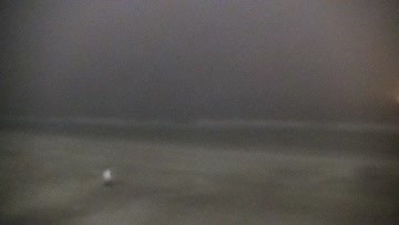 Folly Beach Pier Surf Report, Surf Forecast and Surf Cams - Surfline