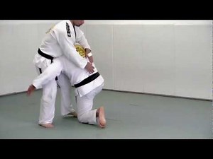 Double Leg Takedown - BJJ Blue Belt Requirements Technique #1