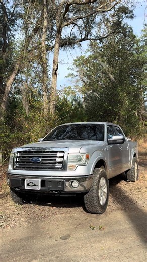 #fordsfinest #f150 #silver #level