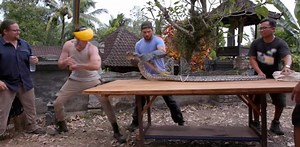 Terrifying video of scientist that allows six-foot python bite him