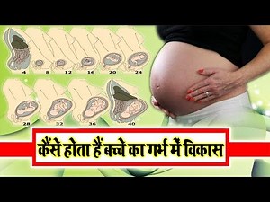 How baby develops in the womb || How Baby Grows In The Womb During Pregnancy || Baby Health Guide