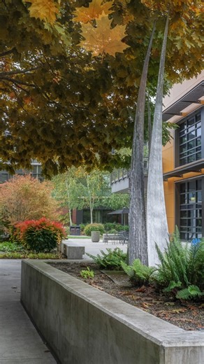 Fall quarter is coming up fast, but there’s still time to apply, register for classes, and get help paying for college. ➡️ New to EvCC? Start at EverettCC.edu/Apply ➡️ Already a student? Sign up at EverettCC.edu/Classes ➡️ Need help with financial aid? Visit EverettCC.edu/FA to apply. | Everett Community College