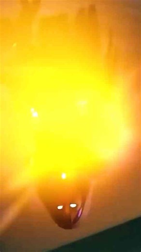 What Happens on the Battle Bus STAYS on the Battle Bus (Fortnite Animation)