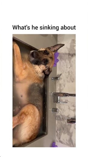 Husband not home activities