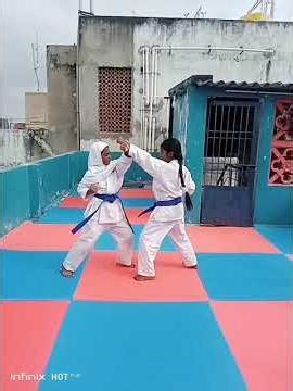 Karate Basic Combination