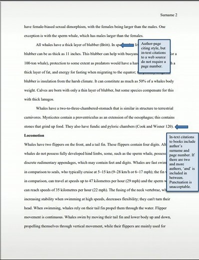 Mastering MLA Reference Style for Your Essays