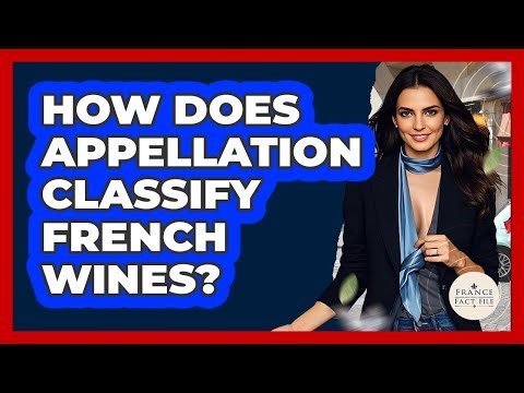 How Does Appellation Classify French Wines? - France Fact File