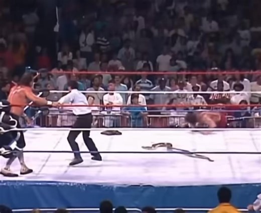 On July 15, 1988 WWF From the Los Angeles Sports Arena aired on The Z Channel throughout Southern California. Your hosts are Superstar Billy Graham, Sean Mooney and Gorilla Monsoon. In the main event, “Ravishing” Rick Rude took on Jake “The Snake” Roberts. This marked the first house show televised on The Z Channel. The channel was launched in 1974 and on June 29, 1989, The Z Channel faded to black and was replaced by SportsChannel Los Angeles. | Davenport Sports Network