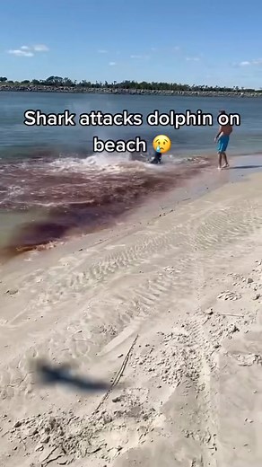 76K views · 181 reactions |  | Merchant Navy | Facebook