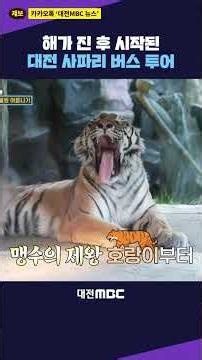 #shorts [Today M] Daejeon Safari Bus Tour starting after sunset #TodayM #DaejeonZoo #SafariTour